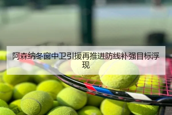 阿森纳冬窗中卫引援再推进防线补强目标浮现